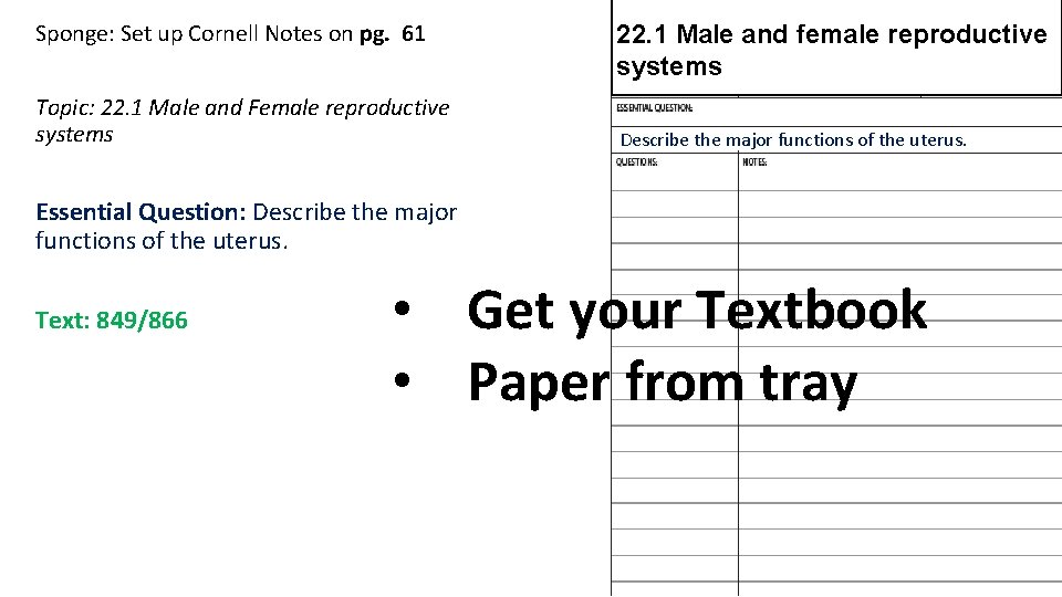 Sponge: Set up Cornell Notes on pg. 61 Topic: 22. 1 Male and Female