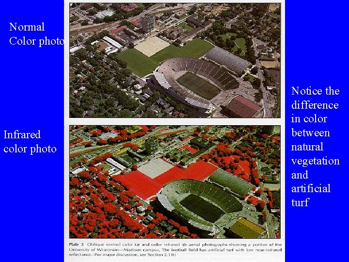 Normal Color photo Infrared color photo Notice the difference in color between natural vegetation