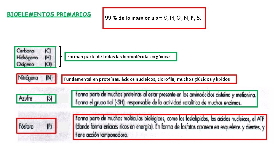 BIOELEMENTOS PRIMARIOS 99 % de la masa celular: C, H, O, N, P, S.