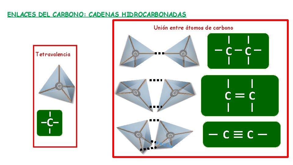 ENLACES DEL CARBONO: CADENAS HIDROCARBONADAS Unión entre átomos de carbono Tetravalencia C C C