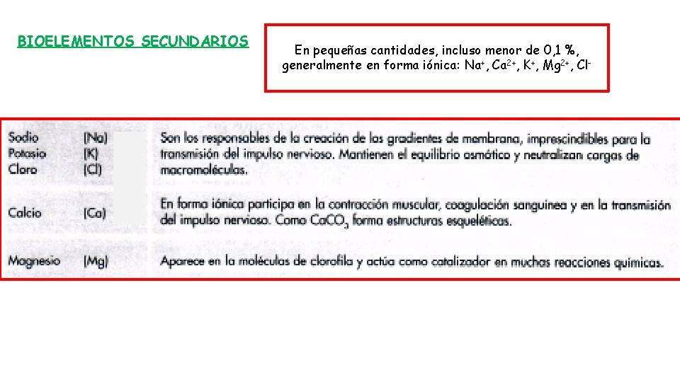 BIOELEMENTOS SECUNDARIOS En pequeñas cantidades, incluso menor de 0, 1 %, generalmente en forma