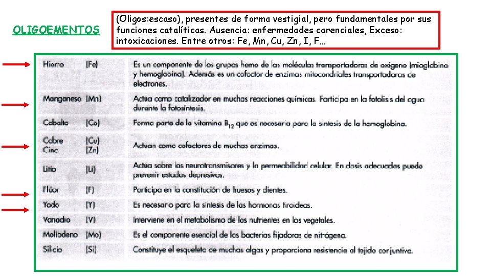 OLIGOEMENTOS (Oligos: escaso), presentes de forma vestigial, pero fundamentales por sus funciones catalíticas. Ausencia: