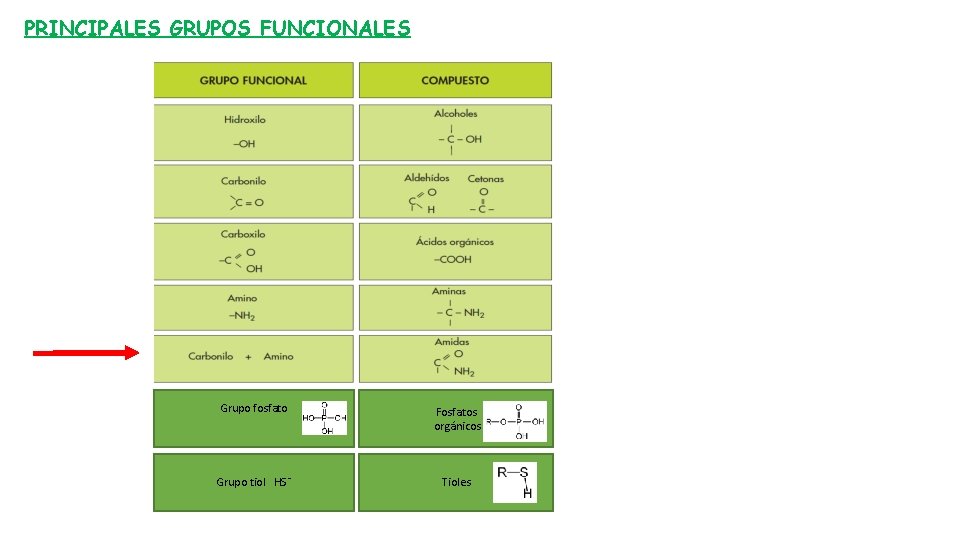 PRINCIPALES GRUPOS FUNCIONALES Grupo fosfato Fosfatos orgánicos Grupo tiol HS¯ Tioles 