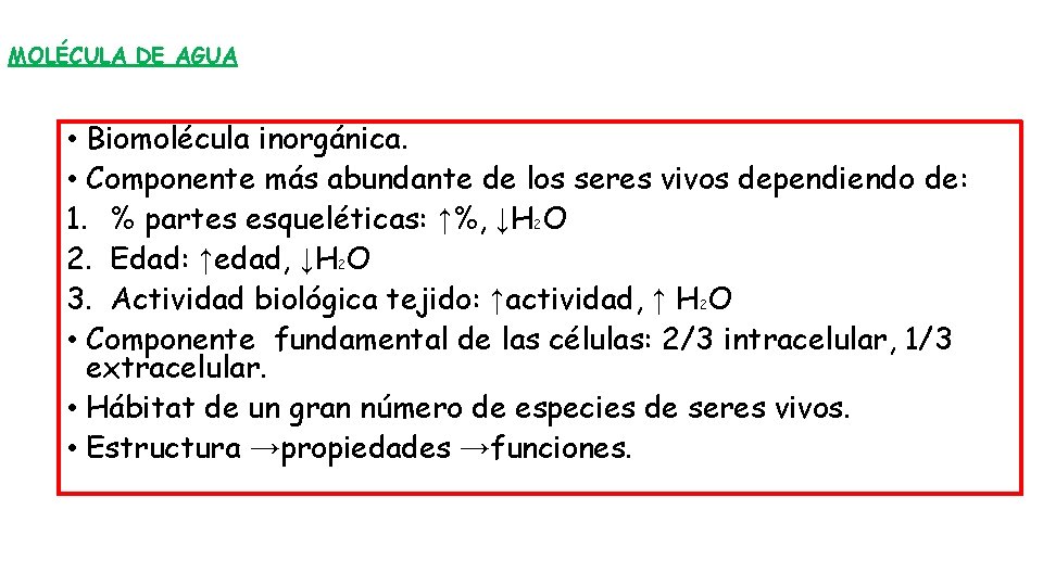 MOLÉCULA DE AGUA • Biomolécula inorgánica. • Componente más abundante de los seres vivos