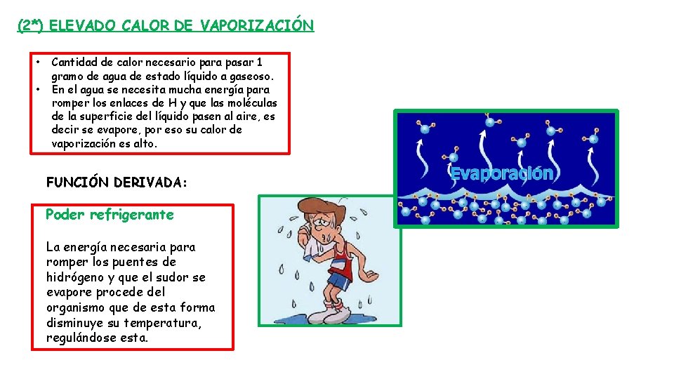 (2*) ELEVADO CALOR DE VAPORIZACIÓN • • Cantidad de calor necesario para pasar 1
