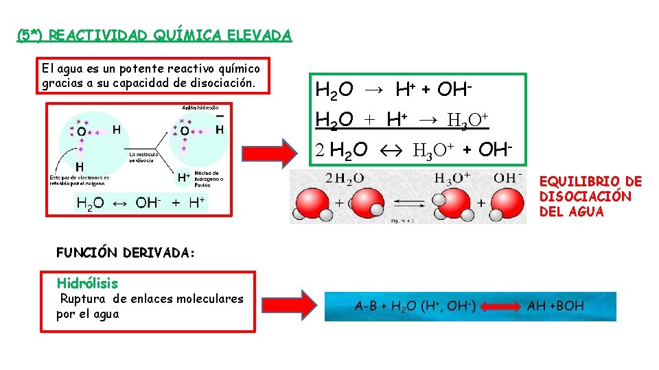 (5*) REACTIVIDAD QUÍMICA ELEVADA El agua es un potente reactivo químico gracias a su