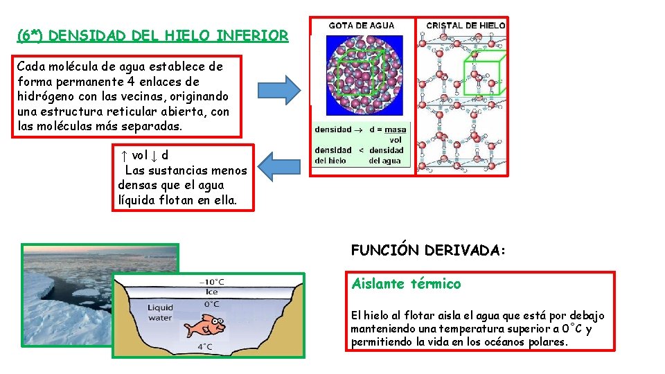 (6*) DENSIDAD DEL HIELO INFERIOR Cada molécula de agua establece de forma permanente 4