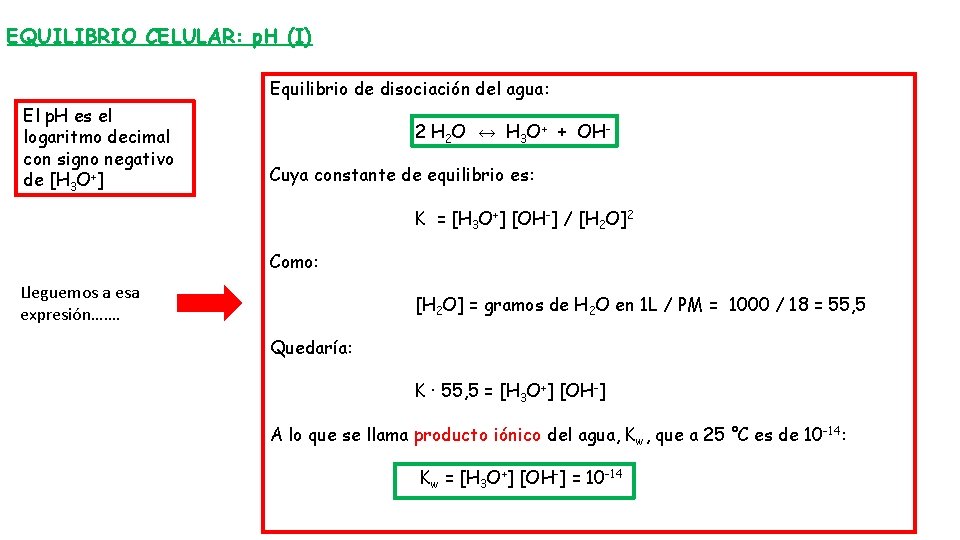 EQUILIBRIO CELULAR: p. H (I) Equilibrio de disociación del agua: El p. H es