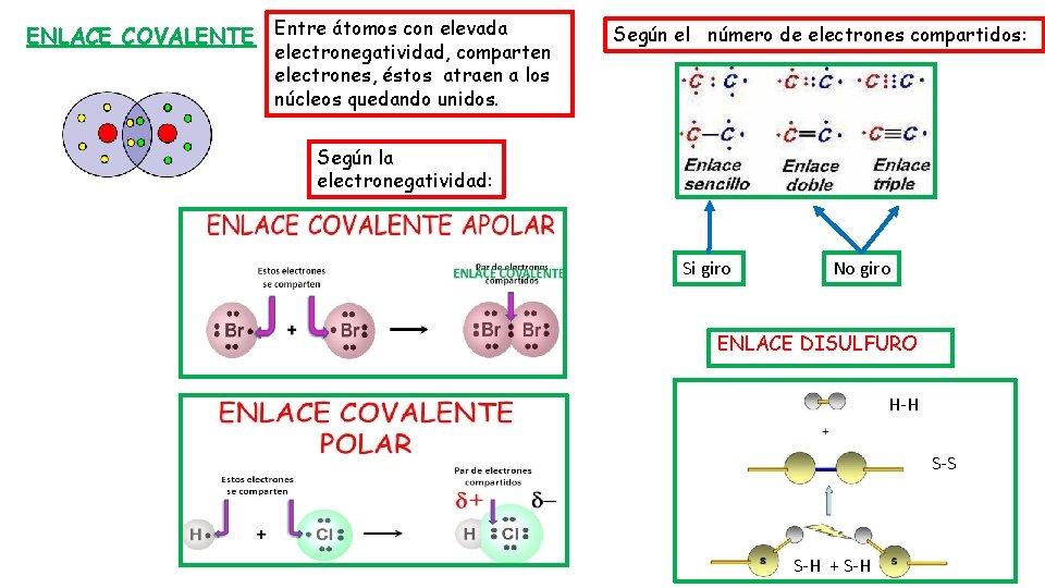 ENLACE COVALENTE Entre átomos con elevada electronegatividad, comparten electrones, éstos atraen a los núcleos