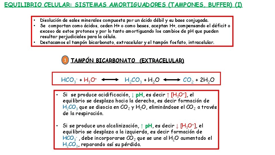 EQUILIBRIO CELULAR: SISTEMAS AMORTIGUADORES (TAMPONES, BUFFER) (I) • • • Disolución de sales minerales