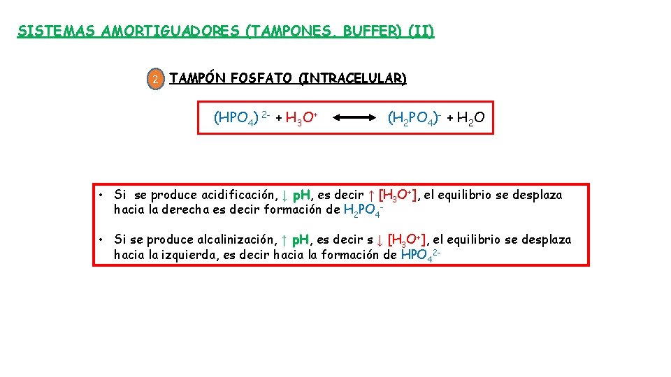 SISTEMAS AMORTIGUADORES (TAMPONES, BUFFER) (II) 2 TAMPÓN FOSFATO (INTRACELULAR) (HPO 4) 2 - +