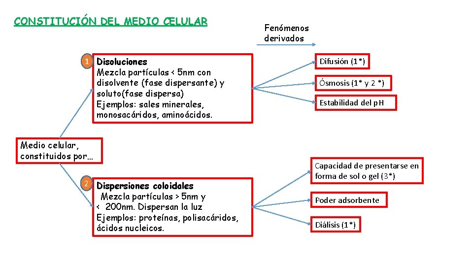 CONSTITUCIÓN DEL MEDIO CELULAR 1 Disoluciones Mezcla partículas < 5 nm con disolvente (fase