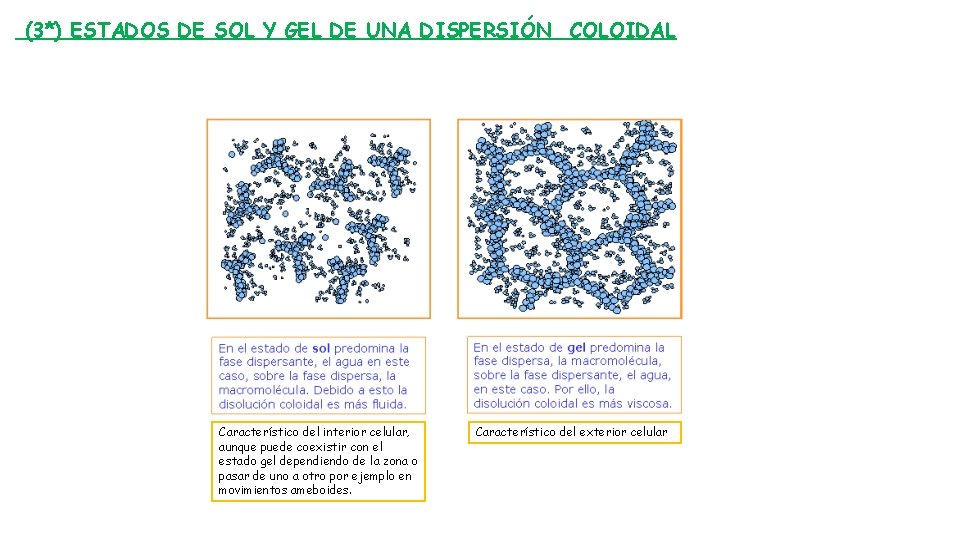 (3*) ESTADOS DE SOL Y GEL DE UNA DISPERSIÓN COLOIDAL Característico del interior celular,