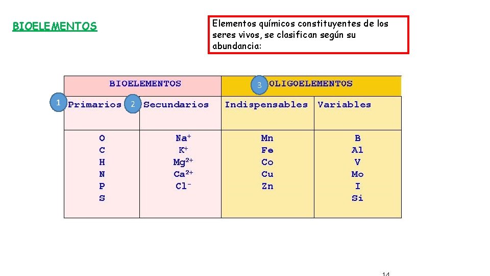 Elementos químicos constituyentes de los seres vivos, se clasifican según su abundancia: BIOELEMENTOS 3