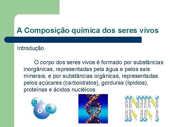 A Composição química dos seres vivos Introdução O corpo dos seres vivos é formado A Composição química dos seres vivos Introdução O corpo dos seres vivos é formado