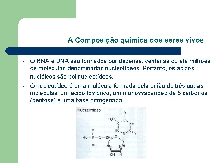A Composição química dos seres vivos ü ü O RNA e DNA são formados A Composição química dos seres vivos ü ü O RNA e DNA são formados