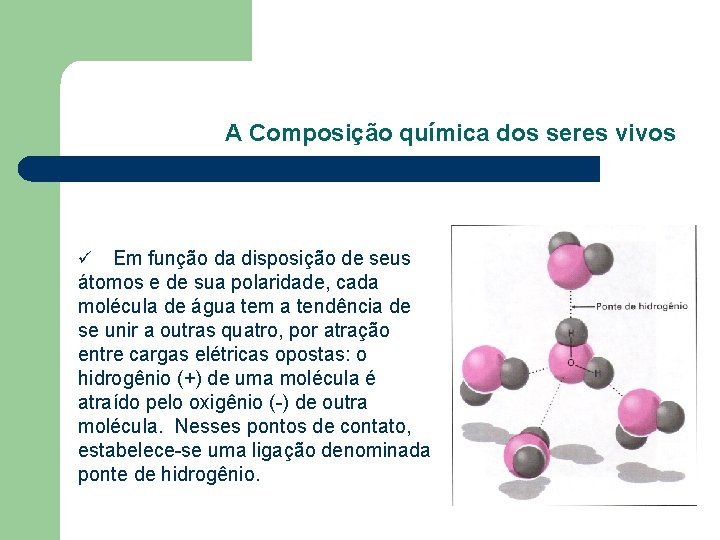 A Composição química dos seres vivos Em função da disposição de seus átomos e A Composição química dos seres vivos Em função da disposição de seus átomos e