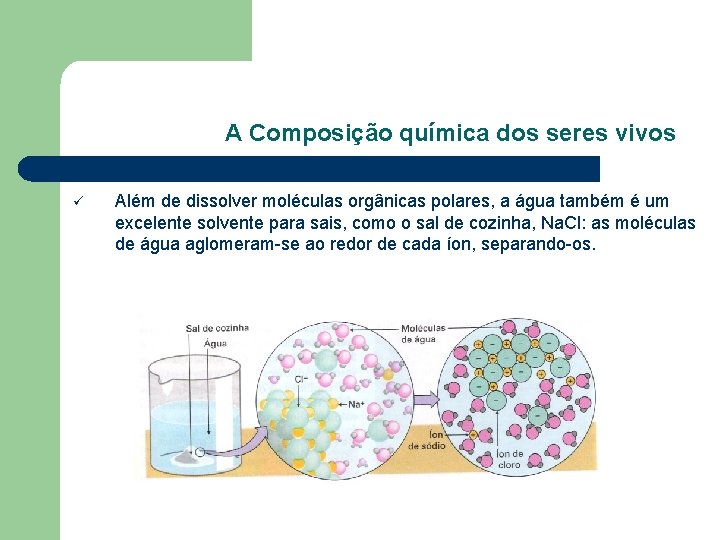 A Composição química dos seres vivos ü Além de dissolver moléculas orgânicas polares, a A Composição química dos seres vivos ü Além de dissolver moléculas orgânicas polares, a