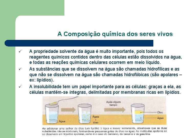 A Composição química dos seres vivos ü ü ü A propriedade solvente da água A Composição química dos seres vivos ü ü ü A propriedade solvente da água