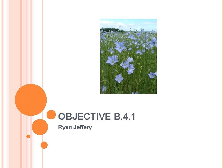 OBJECTIVE B. 4. 1 Ryan Jeffery 