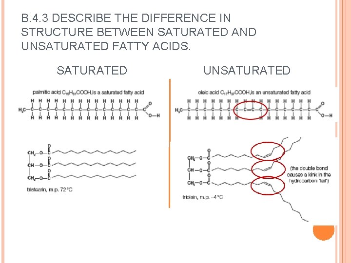 B. 4. 3 DESCRIBE THE DIFFERENCE IN STRUCTURE BETWEEN SATURATED AND UNSATURATED FATTY ACIDS.