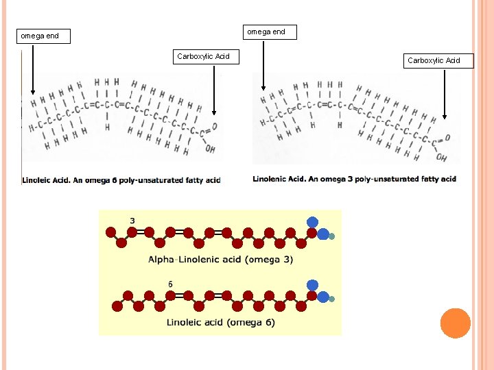 omega end Carboxylic Acid 