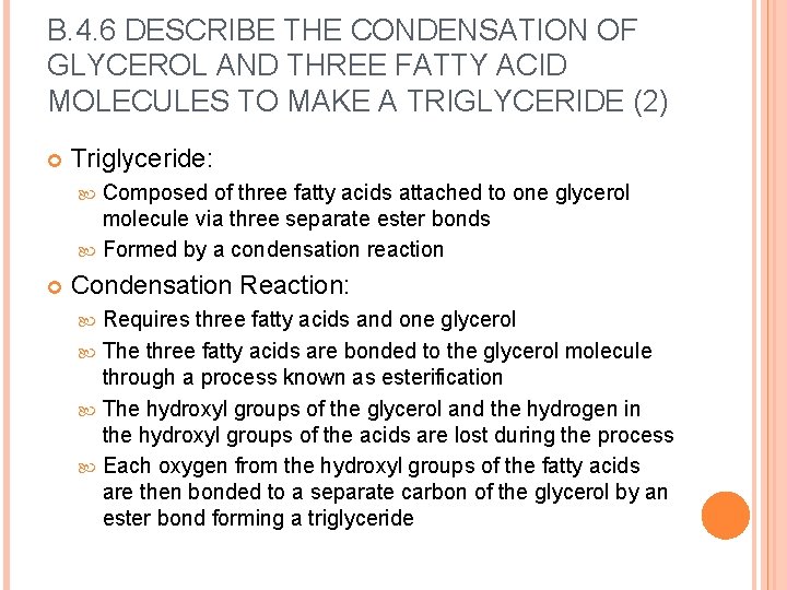 B. 4. 6 DESCRIBE THE CONDENSATION OF GLYCEROL AND THREE FATTY ACID MOLECULES TO