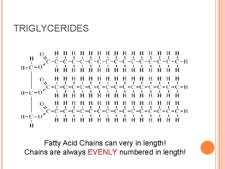 TRIGLYCERIDES Fatty Acid Chains can very in length! Chains are always EVENLY numbered in