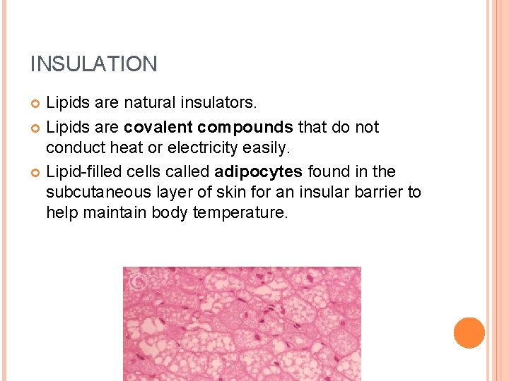 INSULATION Lipids are natural insulators. Lipids are covalent compounds that do not conduct heat