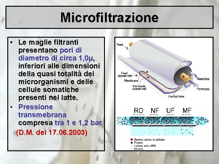 Microfiltrazione • Le maglie filtranti presentano pori di diametro di circa 1, 0µ, inferiori