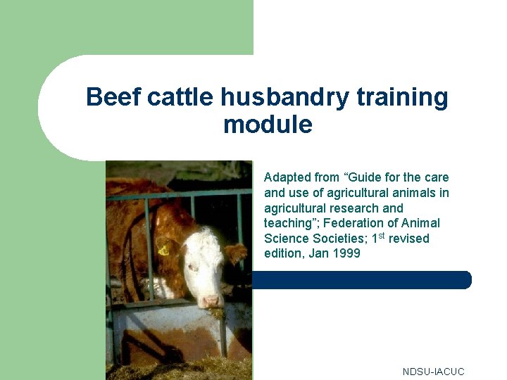 Beef cattle husbandry training module Adapted from “Guide for the care and use of