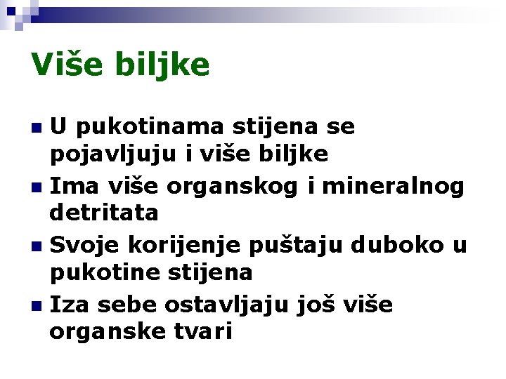 Više biljke U pukotinama stijena se pojavljuju i više biljke n Ima više organskog