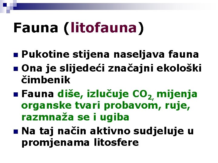 Fauna (litofauna) Pukotine stijena naseljava fauna n Ona je slijedeći značajni ekološki čimbenik n