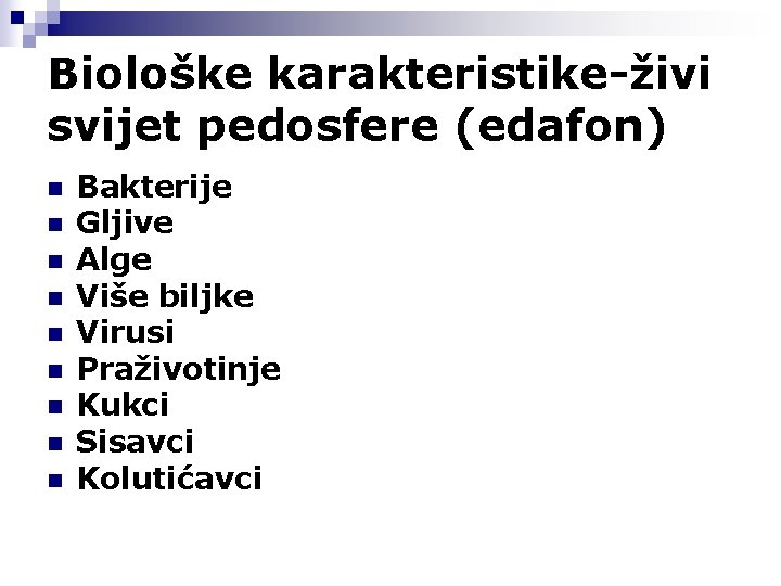 Biološke karakteristike-živi svijet pedosfere (edafon) n n n n n Bakterije Gljive Alge Više