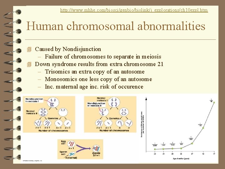 http: //www. mhhe. com/biosci/genbio/biolink/j_explorations/ch 10 expl. htm Human chromosomal abnormalities 4 Caused by Nondisjunction