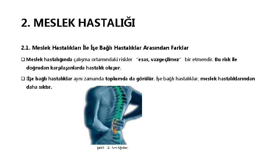 2. MESLEK HASTALIĞI 2. 1. Meslek Hastalıkları İle İşe Bağlı Hastalıklar Arasından Farklar q