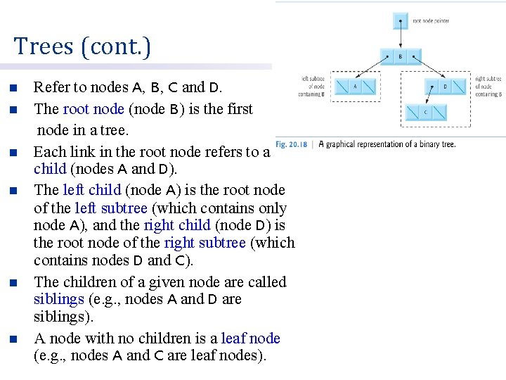 Trees (cont. ) Refer to nodes A, B, C and D. n The root