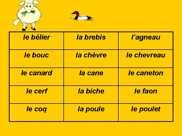 le bélier la brebis l’agneau le bouc la chèvre le chevreau le canard la