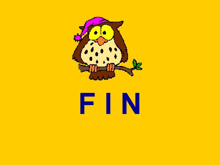 FIN 