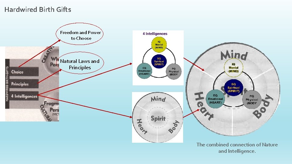 Hardwired Birth Gifts Freedom and Power to Choose Natural Laws and Principles The combined