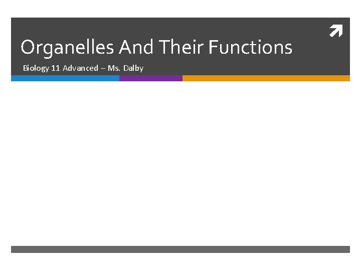 Organelles And Their Functions Biology 11 Advanced – Ms. Dalby 