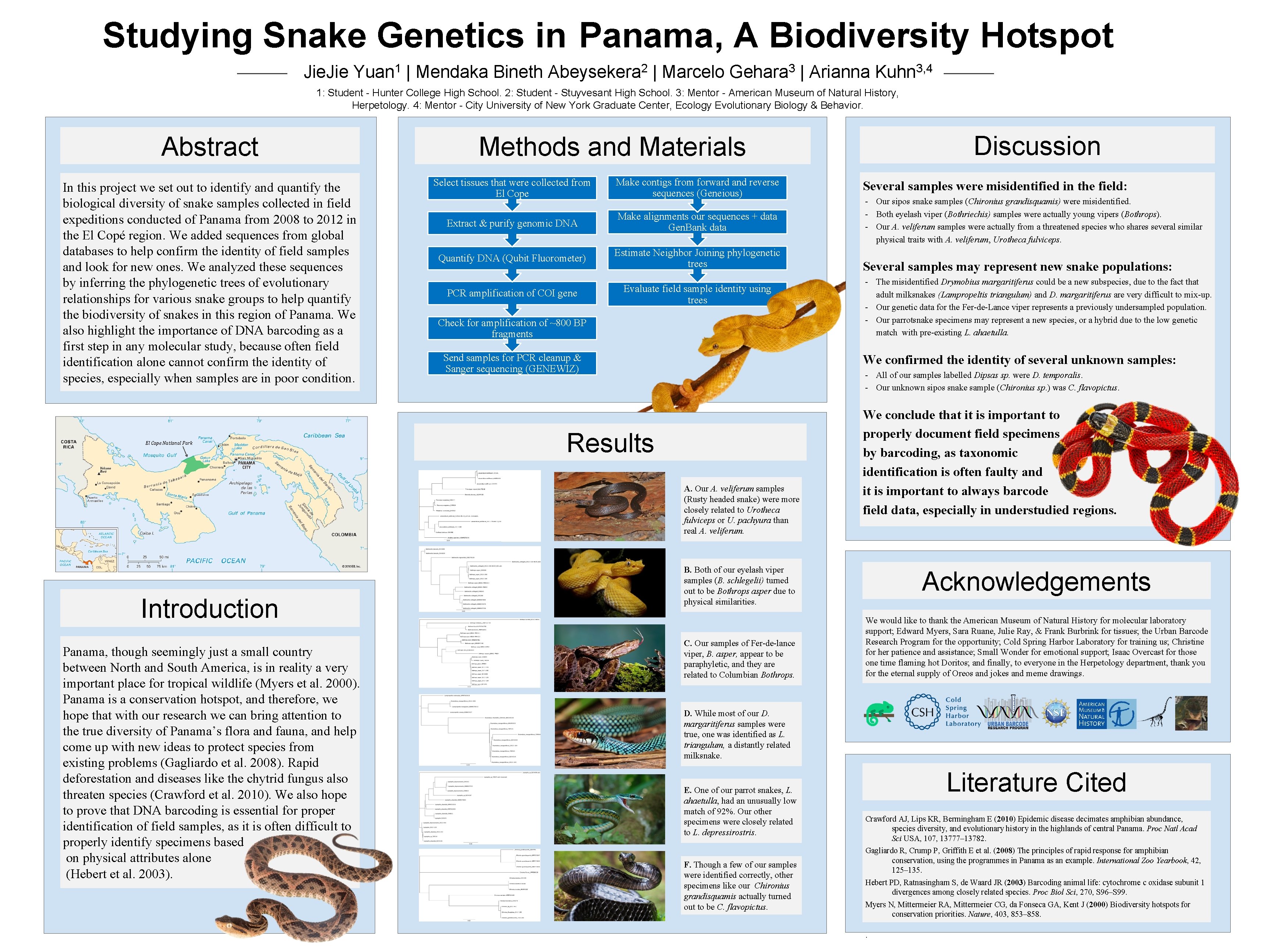 Studying Snake Genetics in Panama, A Biodiversity Hotspot Jie Yuan 1 | Mendaka Bineth