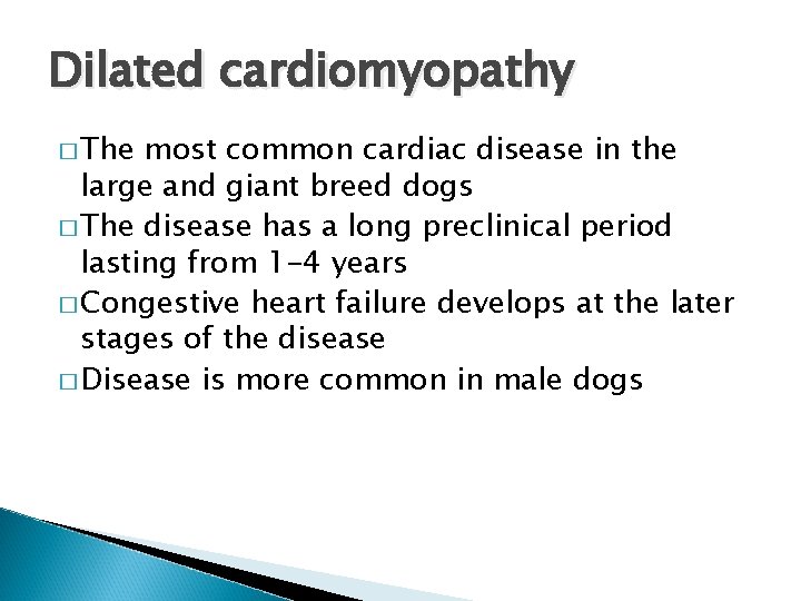 Dilated cardiomyopathy � The most common cardiac disease in the large and giant breed