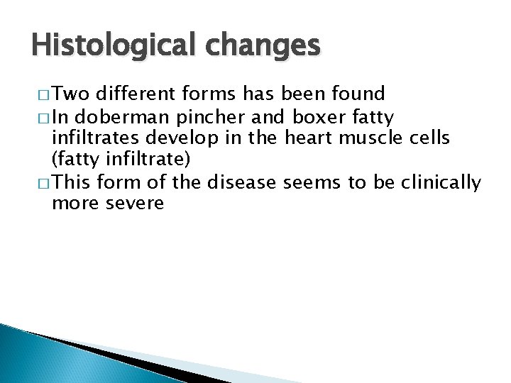 Histological changes � Two different forms has been found � In doberman pincher and