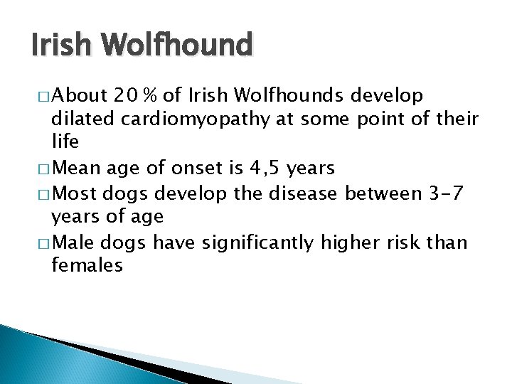 Irish Wolfhound � About 20 % of Irish Wolfhounds develop dilated cardiomyopathy at some