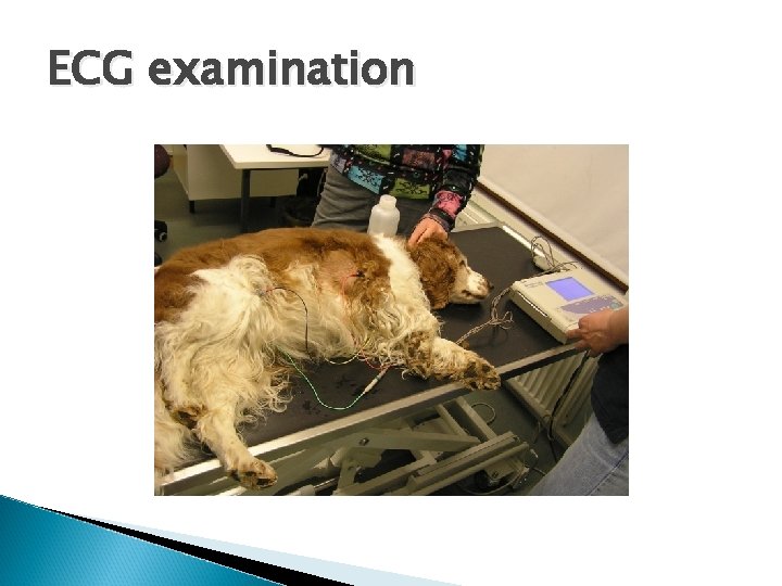 ECG examination 