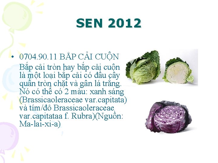 SEN 2012 • 0704. 90. 11 BẮP CẢI CUỘN Bắp cải tròn hay bắp