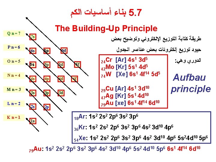  ﺍﻟﻜﻢ ﺃﺴﺎﺳﻴﺎﺕ ﺑﻨﺎﺀ 5. 7 Qn=7 Pn=6 On=5 Nn=4 Mn=3 Ln=2 Kn=1 The