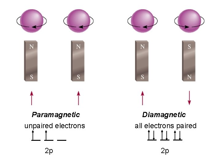 Paramagnetic unpaired electrons 2 p Diamagnetic all electrons paired 2 p 