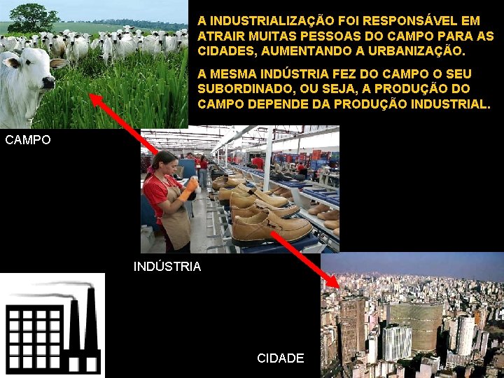 A INDUSTRIALIZAÇÃO FOI RESPONSÁVEL EM ATRAIR MUITAS PESSOAS DO CAMPO PARA AS CIDADES, AUMENTANDO